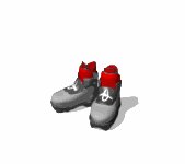 ski_boots_sport_cross_a_lw.gif