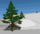 ski_accident_mw.gif