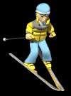 female_skier_downhill_a_mc.gif