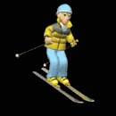 female_skier_downhilc_mb.gif