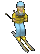 female_skier_downhilb_tc.gif