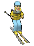 female_skier_downhilb_sc.gif