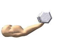 singlearm2_weightlift_a_hr.jpg