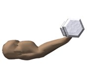 singlearm1_weightlift_a_hr.jpg