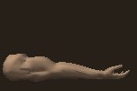 musculararm_flexing_mc.gif