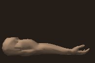 musculararm_flexing_lc.gif