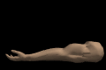 musculararm2_flexing_mb.gif