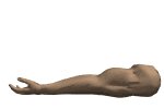 musculararm2_flexing_lw.gif