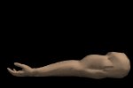 musculararm2_flexing_lb.gif