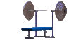 flatbench_mc.gif