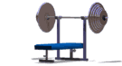 flatbench_lw.gif