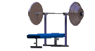flatbench_lc.gif