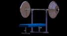 flatbench_lb.gif