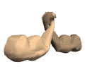 2singlearms_wrestling_mw.gif