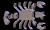 cancer_symbol_mb.gif