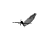 japanese_carrier_kaga_a_tw.gif