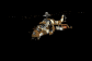 russian_hind_d_firing_a_sb.gif