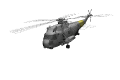 navy_chopper_flying_mw.gif