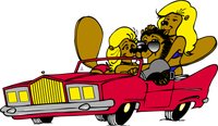 BEAVER01.WMF