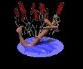 half_under_water_lc.gif