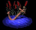 half_under_water_lb.gif