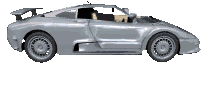 sporty_showcase_lc.gif
