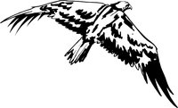 BIRD02M.WMF