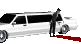 limodoorchaffeur_open_a_sc.gif
