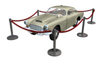 car_behind_ropes_hr.jpg