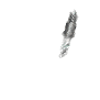 spark_plug_detail_sw.gif