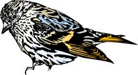 BIRD17.WMF