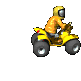 guy_on_a_four_wheeler_a_sc.gif