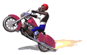 biker_dude_wheelie_lw.gif