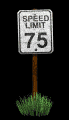 speed_limit_speed_75_mb.gif
