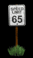 speed_limit_speed_65_mb.gif