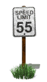 speed_limit_speed_55_mw.gif