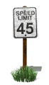 speed_limit_speed_45_mw.gif