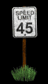 speed_limit_speed_45_mb.gif