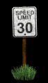 speed_limit_speed_30_mb.gif