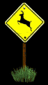 warning_sign_deer_mb.gif