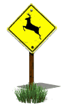 warning_sign_deer_lw.gif
