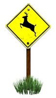 warning_sign_deer_hr.jpg