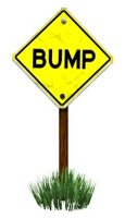 warning_sign_bump_hr.jpg