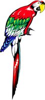 BIRD41.WMF