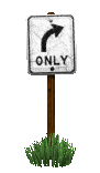 only_right_turn_lc.gif