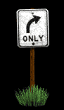 only_right_turn_lb.gif