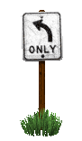only_left_turn_lc.gif