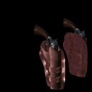 leatherholster_colt_d_a_mb.gif
