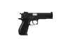 45cal_firing_casinge_a_sw.gif