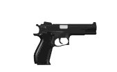 45cal_firing_casinge_a_lw.gif